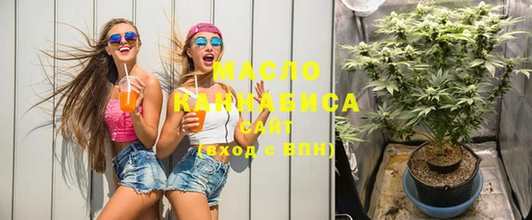 ECSTASY Чекалин