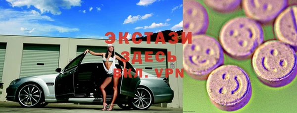 ECSTASY Чекалин